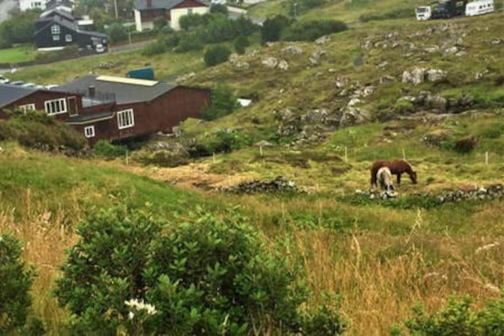 Hyggelig Lejlighed Ved Aen - Flot Udsigt Tórshavn Eksteriør bilde